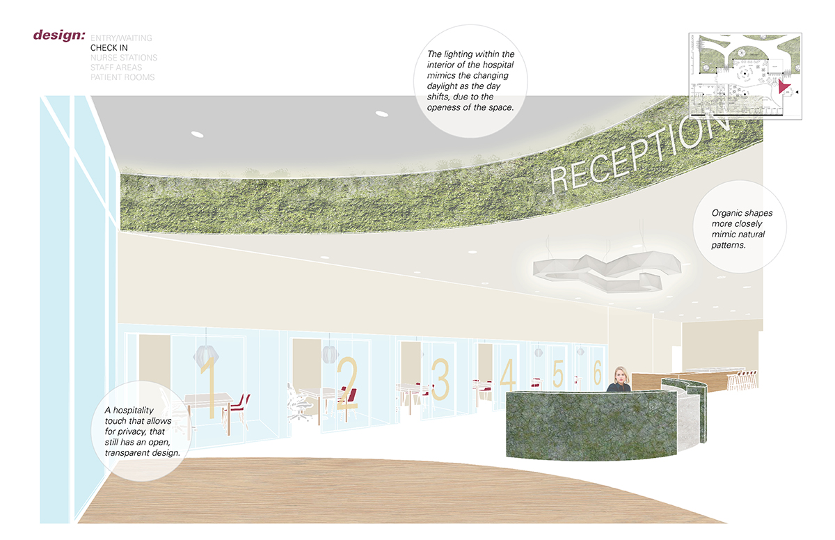 Drawing of hospital reception area with receptionist at desk and numbered exam rooms in background