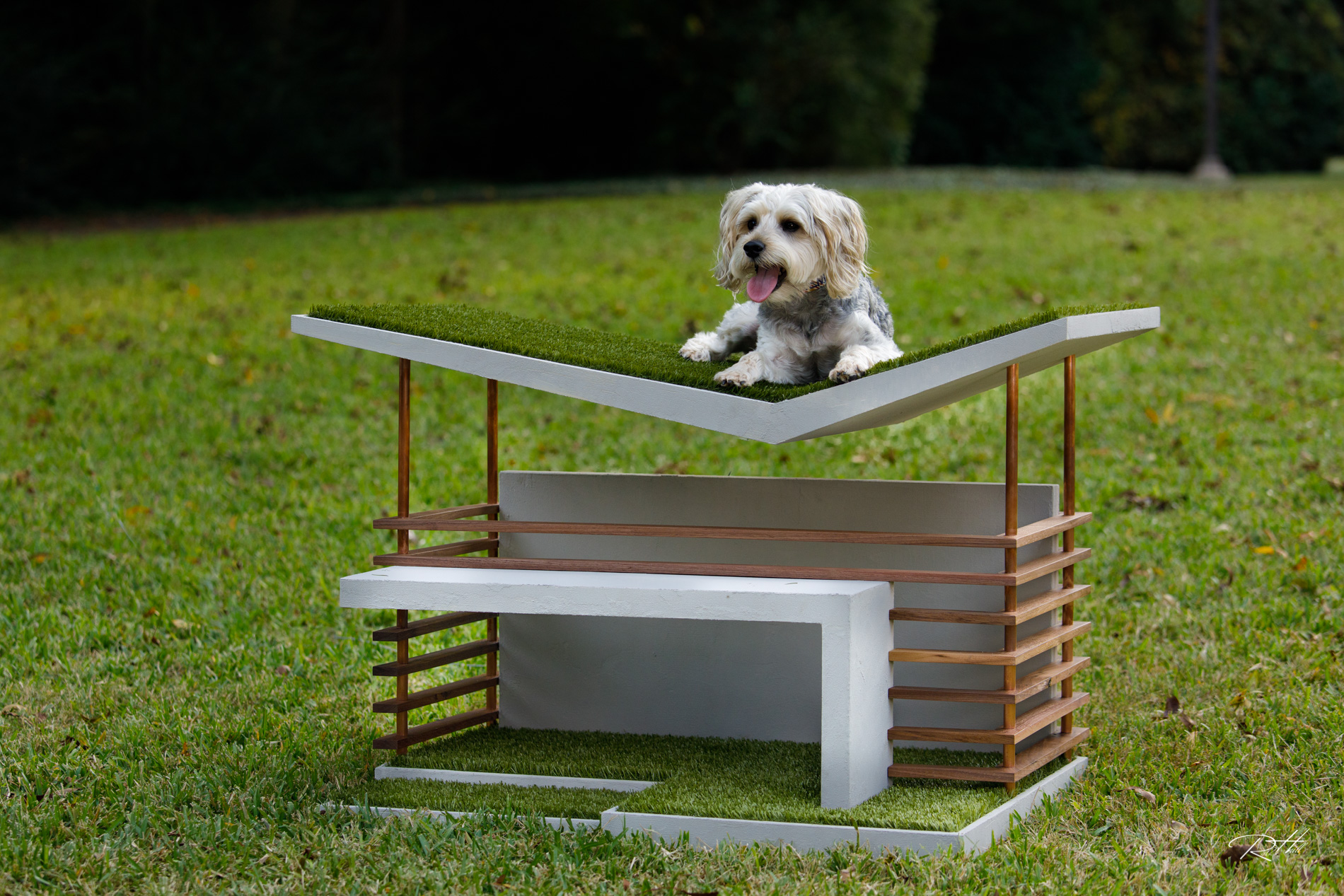 A dog with a doghouse designed for the Bark + Build design competition by members of the Dallas office